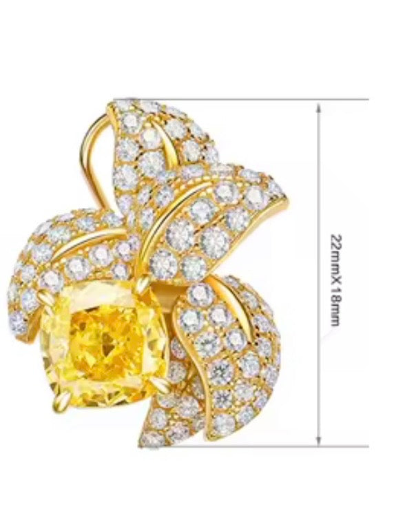 Evri earrings