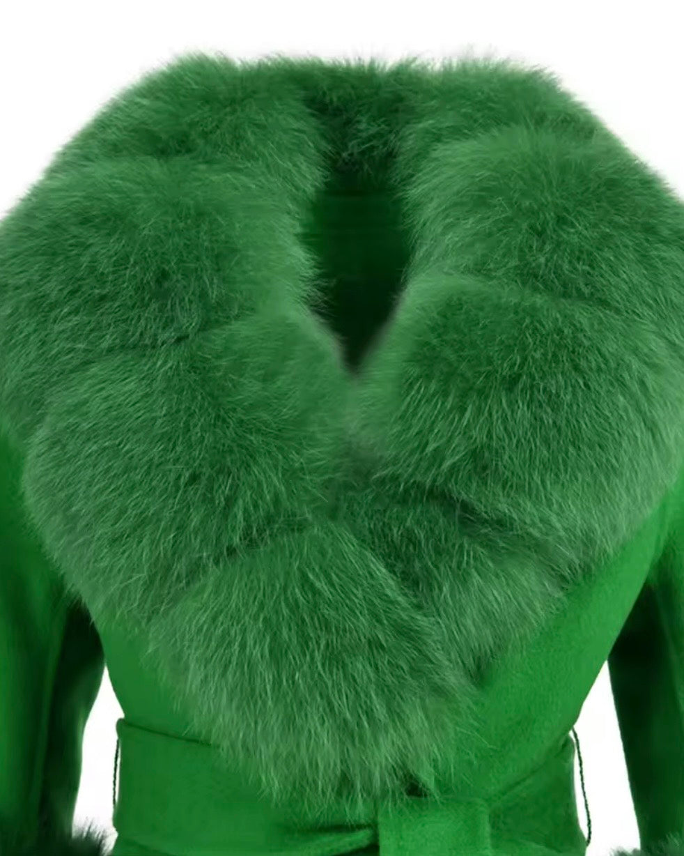 Rays coat