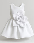 Karicyka dress
