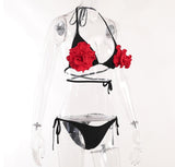 Laminya two pieces swimwear