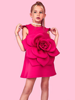 Kara rose dress